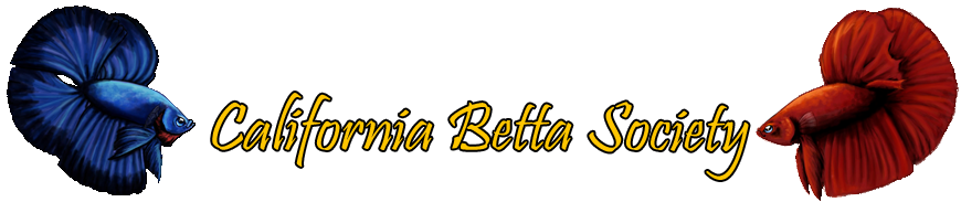 California Betta Society
